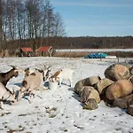 Seeziege Uckermark - Am Carwitzer Thomsdorf (Brandenburg)