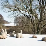 Seeziege Uckermark - Am Carwitzer * Thomsdorf (Brandenburg)