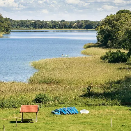 Seeziege Uckermark - Am Carwitzer Thomsdorf (Brandenburg)