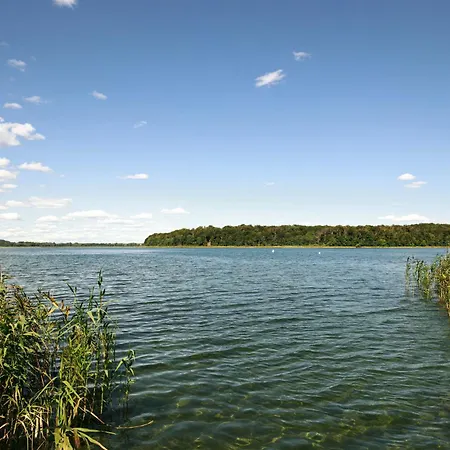 Seeziege Uckermark - Am Carwitzer Thomsdorf (Brandenburg)