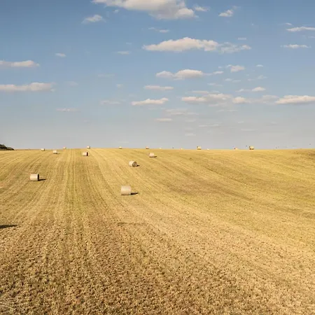 Seeziege Uckermark - Am Carwitzer Apartment Thomsdorf (Brandenburg)