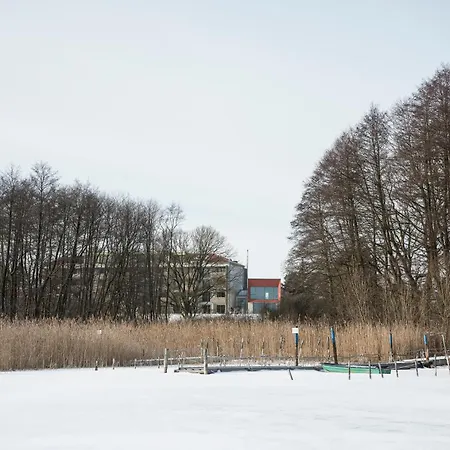 Seeziege Uckermark - Am Carwitzer