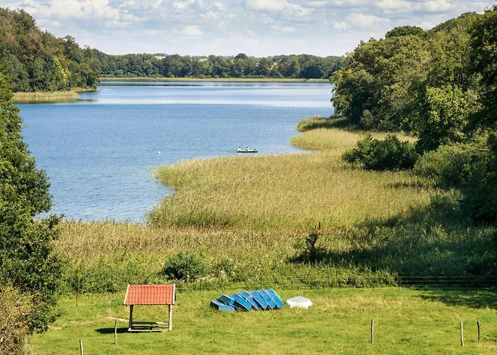 Seeziege Uckermark - Am Carwitzer Thomsdorf (Brandenburg)