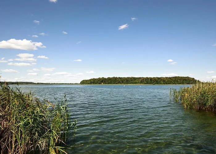 Seeziege Uckermark - Am Carwitzer Thomsdorf (Brandenburg)