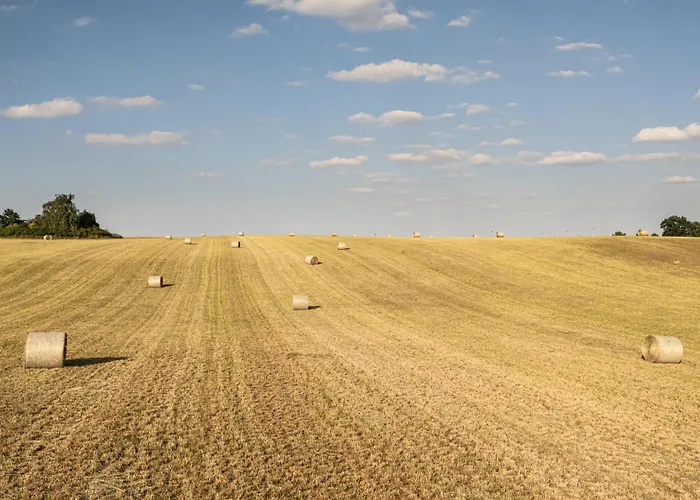 Seeziege Uckermark - Am Carwitzer 公寓 Thomsdorf (Brandenburg)