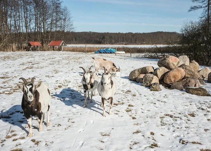 Seeziege Uckermark - Am Carwitzer Apartmán *