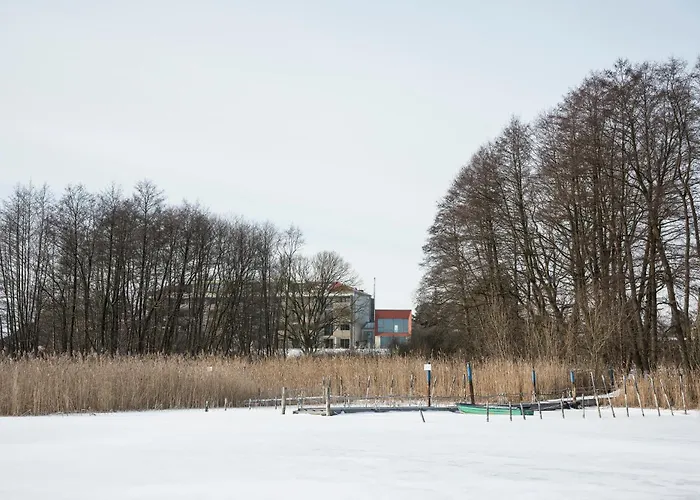 Seeziege Uckermark - Am Carwitzer